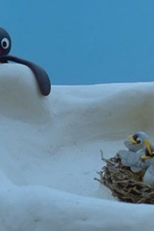 Pingu and the Birds' Mother