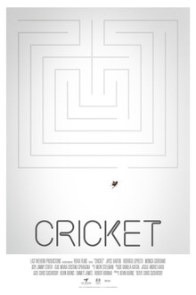 Cricket poster