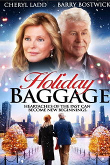 Holiday Baggage poster