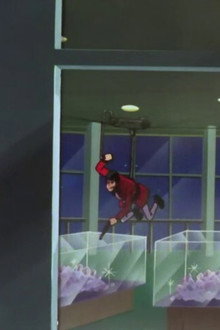 The Target Is 555 Meters