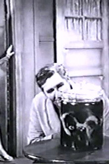 The Jar