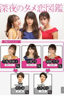 The Guide to Late Night Bad Love poster