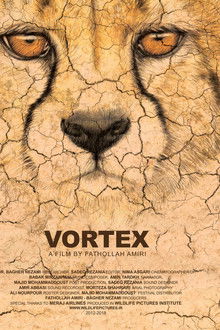 Vortex poster