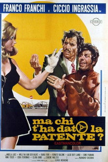 Who Gave You the License? poster