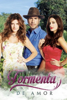Tormenta de amor poster