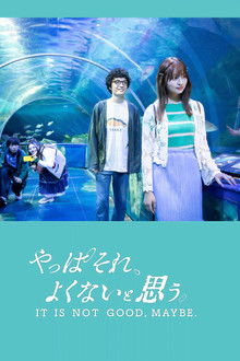 It Is Not Good, Maybe. poster