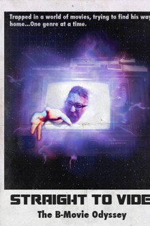 Straight to Video: The B-Movie Odyssey poster