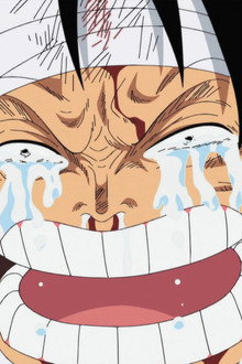 Landing at the Maiden Island! The Harsh Reality Falls upon Luffy!