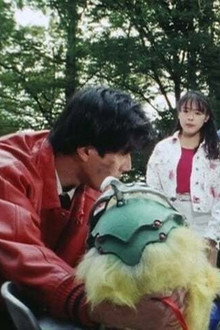 The Whereabouts of Our Parents