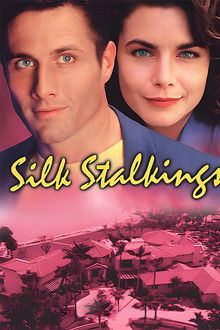Silk Stalkings poster