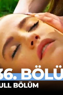 Episode 36