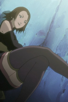 A Battle of Bugs: The Deceivers and the Deceived