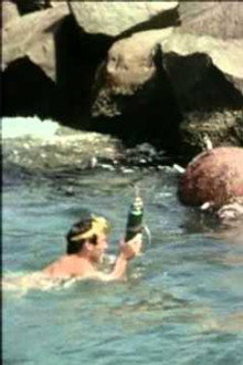 Flipper's Hour of Peril