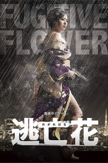 Fugitive Flower poster