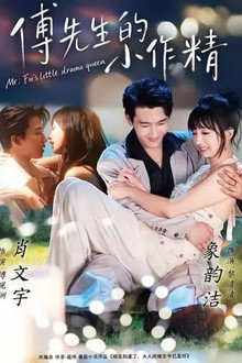 傅先生的小作精 poster