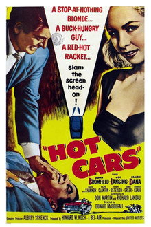 Hot Cars poster