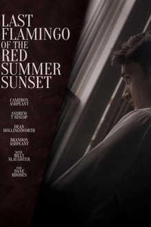 Last Flamingo of the Red Summer Sunset poster