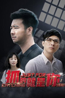 抓的就是你 poster