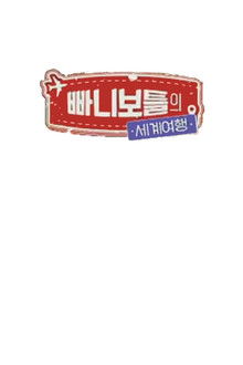 빠니보틀의 세계여행 poster