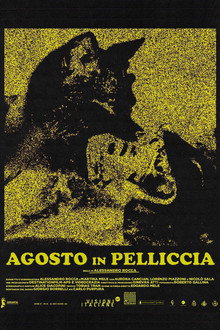 August in Fur poster