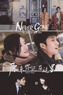 Never Gone poster