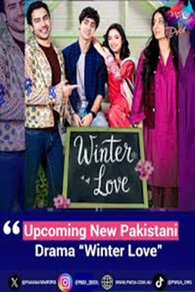 Winter Love poster