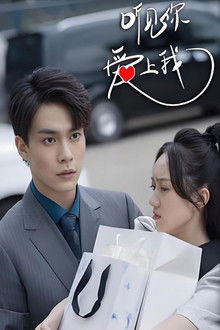 听见你，爱上我 poster