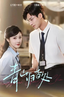 青山归杳处 poster