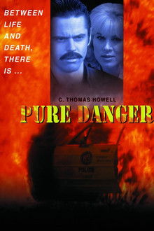 Pure Danger poster