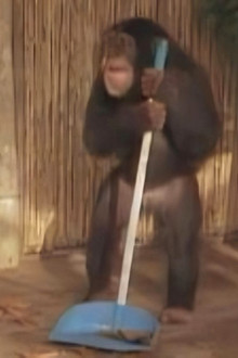 Tarzan and the Movie Star