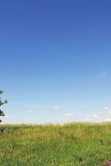 Horror in the Heartland