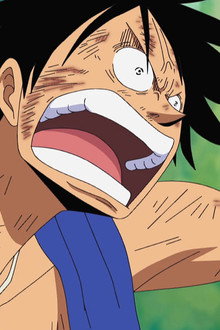 Eliminated Friends – The Final Day of the Straw Hat Crew