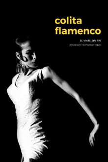 Colita: El viaje sin fin poster