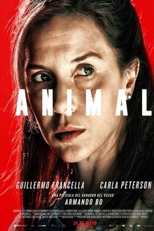 Animal Animal