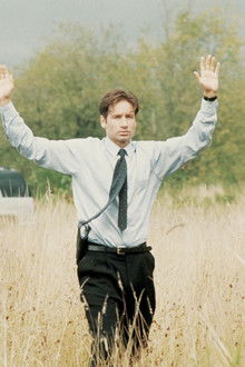 The Field Where I Died