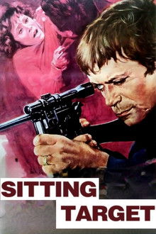 Sitting Target poster