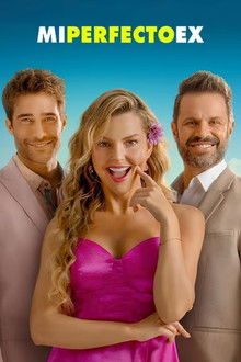 Mi Perfecto Ex poster