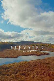 Elevated: Maine poster