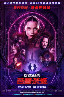 疾速追杀：芭蕾杀姬;