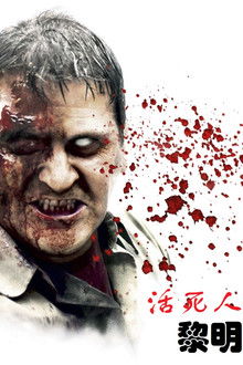 全棵女性艺术写真视频看看