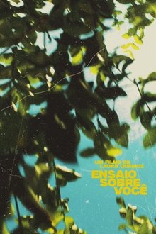 Capa do filme Ensaio Sobre Você
