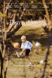 Capa do filme Distrito Floresta