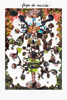 Capa do filme Fogo do Vento