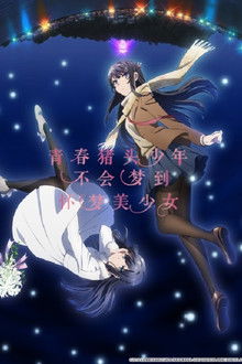 青春猪头少年不会梦到怀梦美少女;