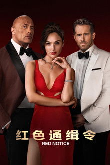 红色通缉令;
