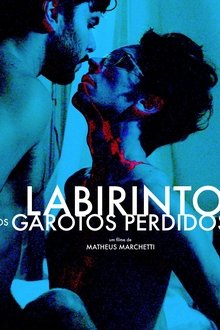 Capa do filme O Labirinto dos Garotos Perdidos