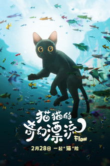 猫猫的奇幻漂流;