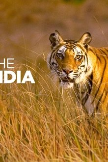Into-the-Wild-India