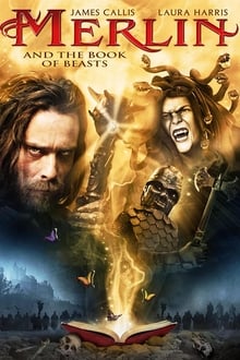 Poster do filme Merlin e o Livro das Bestas
