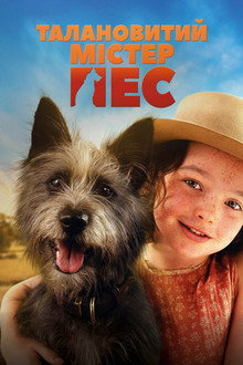 Талановитий містер Пес